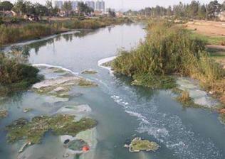 文峪河蓄水坝下游800米生态环境综合治理工程主体基本完成