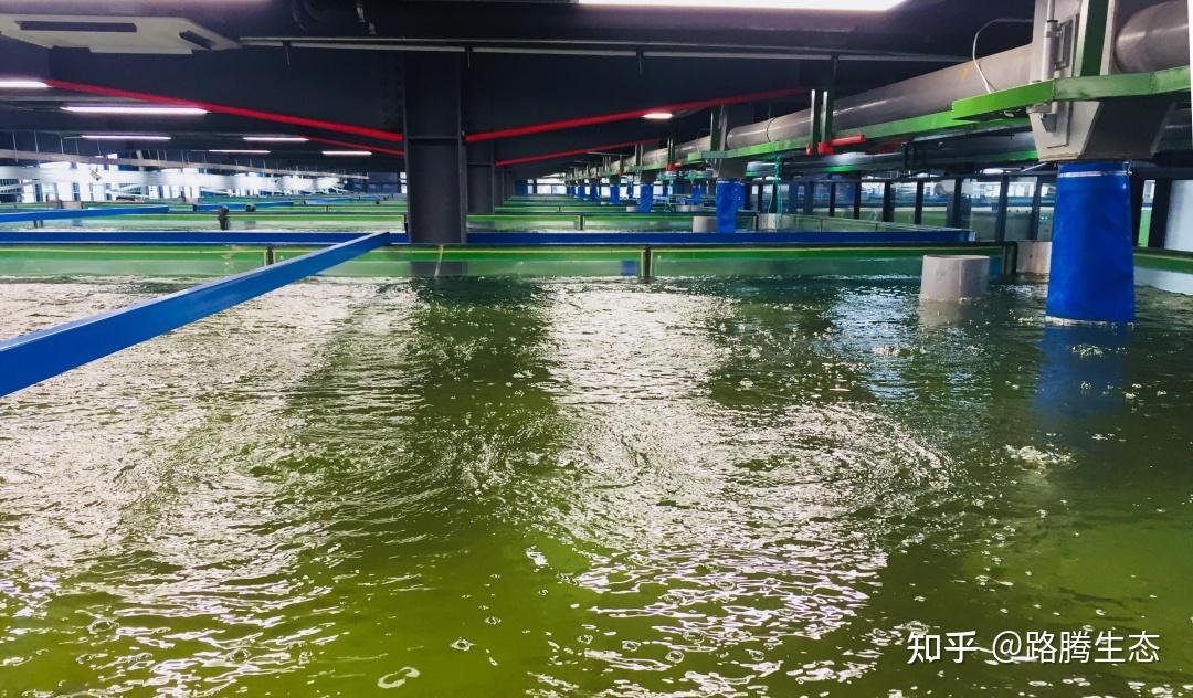 社会公众可以参与进来、行动起来