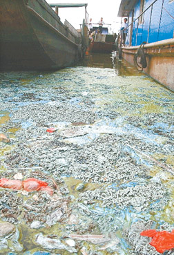 贯彻水污染防治工作要求和三川河流域进行生态环境、防洪安全、区域综合开发的重要举措