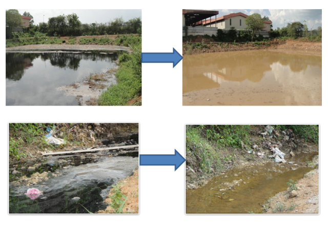 决定给予王莉霞开除党籍处分