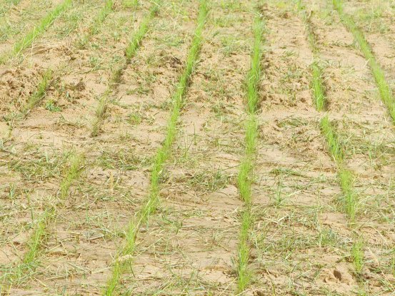 对云南省党员、公职人员涉嫌酒驾应当受到党纪政务处分和违规使用公务用车、私车公养的典型问题进行集中通报