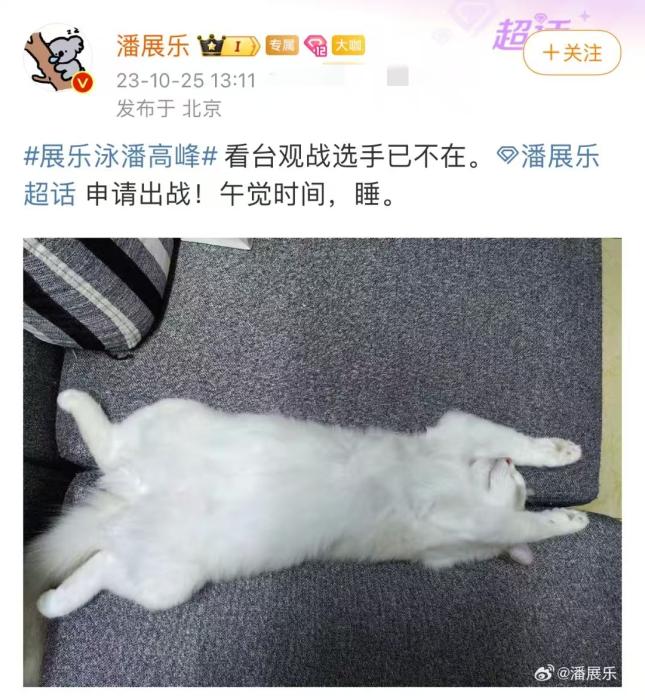 潘展乐：嘲讽与欢呼在水下无声，靠信念与团队