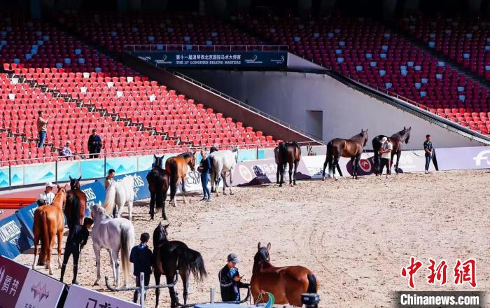 第十一届浪琴表北京国际马术大师赛首日诞生三